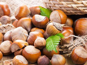 Φουντούκια