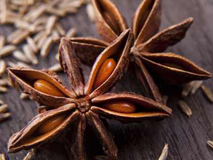 Γλυκάνισος Αστερ. 50γρ