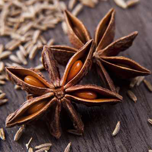 Γλυκάνισος Αστερ. 50γρ