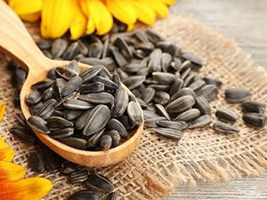 Ηλιόσπορος 200γρ