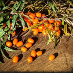 Ιπποφαές Οσμωτικό χ/ζ 100γρ