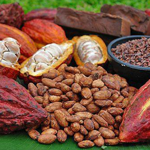 Σπόροι Κακάο 100γρ