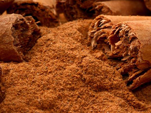 Κανέλα Κεϋλάνης bio σκόνη 100γρ