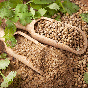 Κόλιανδρος 100γρ