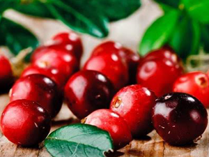 Κράνμπερι 200γρ χ/ζ