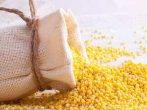 Νιφάδες Κεχριού