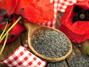 Παπαρουνόσπορος 100γρ