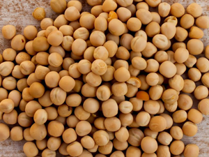 Πρωτεΐνη Αρακά  bio 200γρ