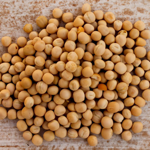 Πρωτεΐνη Αρακά bio 200γρ