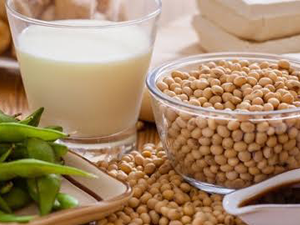 Πρωτεΐνη Σόγιας bio 200γρ