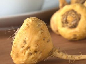 Maca powder bio 100γρ