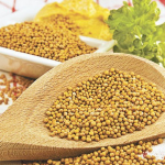 Κίτρινο Σινάπι 100γρ