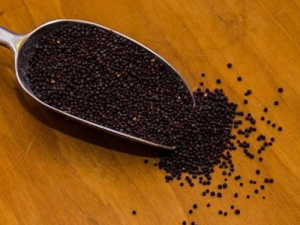 Μαύρο Σινάπι