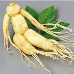 Τζίνσενγκ Ρίζα 50γρ