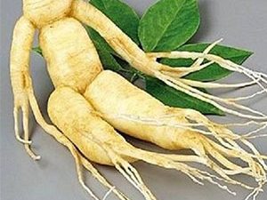 Τζίνσενγκ Ρίζα 50γρ