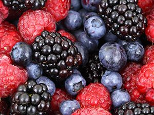 Χυμός Βατόμουρου χ/ζ