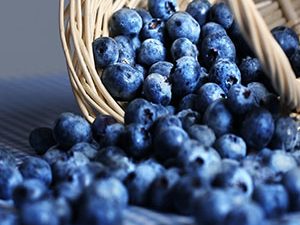 Χυμός Μύρτηλου χ/ζ