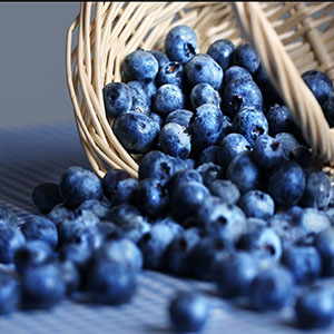 Χυμός Μύρτηλου χ/ζ