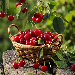 Μούρα οσμωτικά χ/ζ