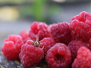 Χυμός Σμέουρου χ/ζ