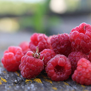 Χυμός Σμέουρου χ/ζ