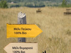 Πευκοθύμαρο 1Kg