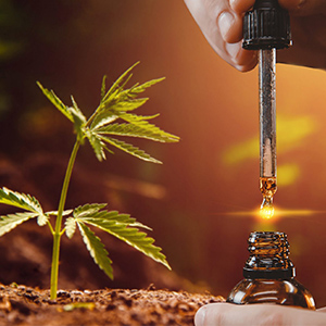 Προϊόντα κάνναβης