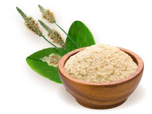 Ψύλλιο σκόνη 100γρ