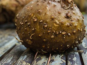 Γλυκομαννάνη bio 100γρ