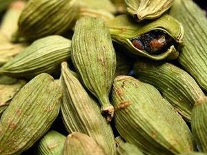 Κάρδαμο σκόνη 100γρ