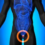 Μιξ βοτάνων για προστάτη 120γρ