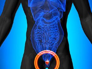 Μιξ βοτάνων για προστάτη 120γρ