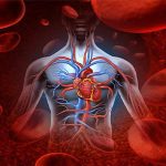 Μείγμα κυκλοφορικού 70γρ