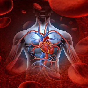 Μείγμα κυκλοφορικού 70γρ