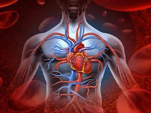 Μιξ βοτάνων για κυκλοφορία αίματος 70γρ