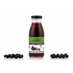 Aronia-ΒΙΟ χυμός 250ml με χυμό μήλου
