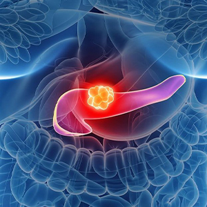 Μείγμα αποτοξίνωσης 120γρ